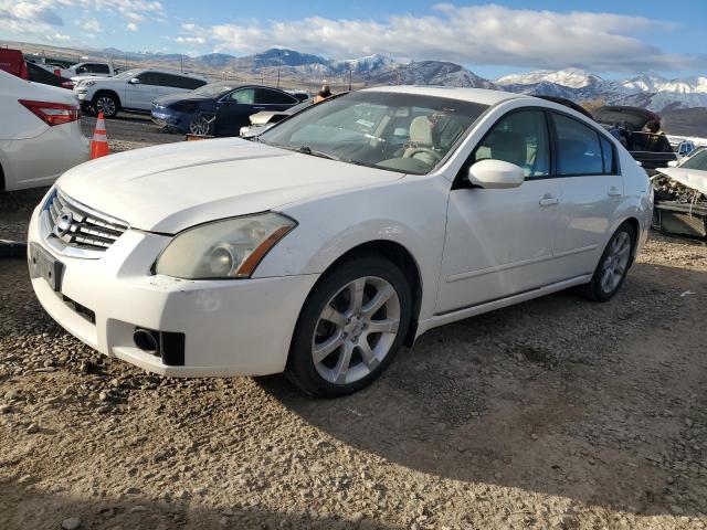 Photo 1 from auction – 2008 NISSAN MAXIMA SE with VIN 1N4BA41E28C801181