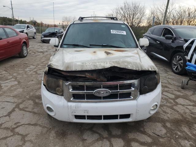 Photo 5 from auction – 2010 FORD ESCAPE LIM with VIN 1FMCU0EG2AKA13230
