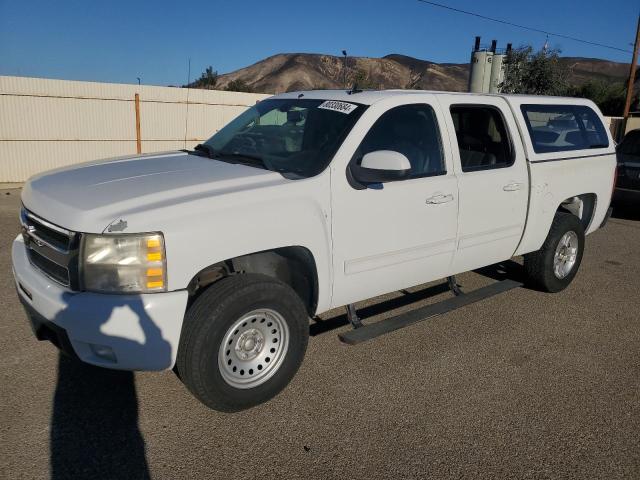 CHEVROLET SILVERADO 2009 with VIN 3GCFK33Y29G157979 - Photo from auction