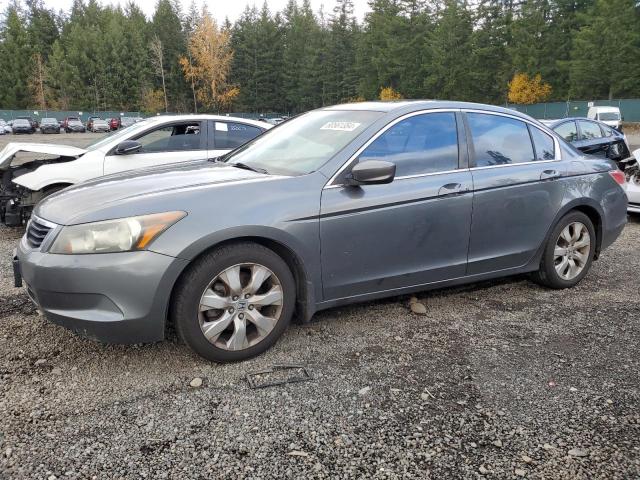 HONDA ACCORD EXL 2010 with VIN 1HGCP2F81AA096512 - Photo from auction