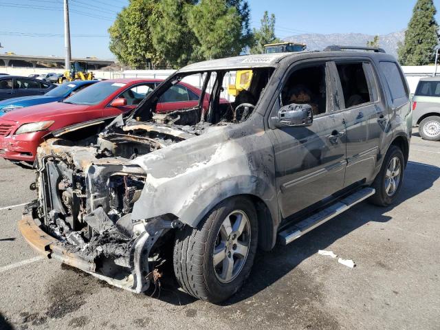 HONDA PILOT EX 2010 with VIN 5FNYF3H43AB013032 - Photo from auction