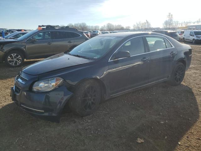 CHEVROLET MALIBU 1LT 2011 with VIN 1G1ZC5EU9BF348170 - Photo from auction