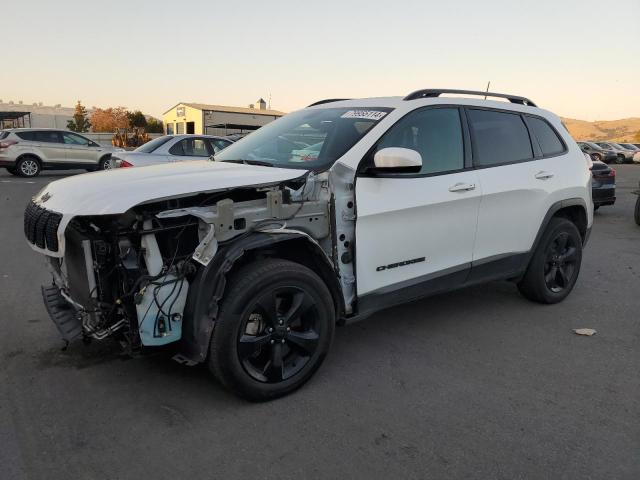 JEEP CHEROKEE L 2019 with VIN 1C4PJMLN9KD294634 - Photo from auction
