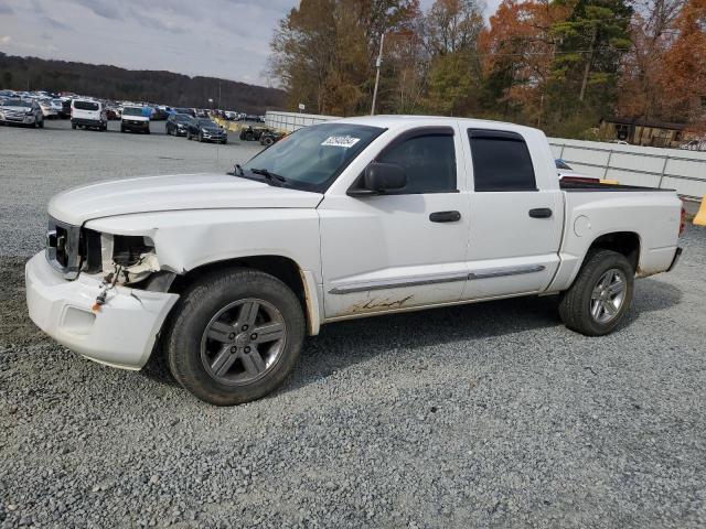 DODGE DAKOTA LAR 2011 with VIN 1D7RW5GP1BS691834 - Photo from auction
