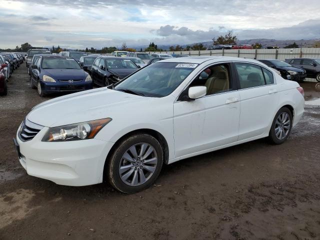HONDA ACCORD EXL 2011 with VIN 1HGCP2F87BA156889 - Photo from auction