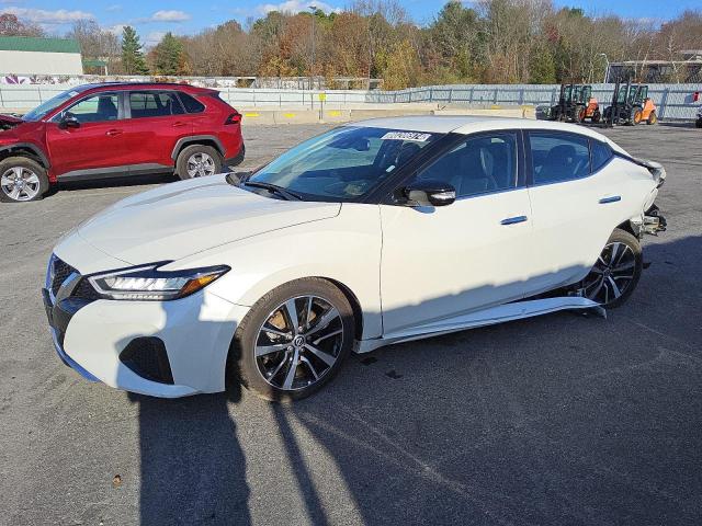 NISSAN MAXIMA SV 2023 with VIN 1N4AA6CV4PC510796 - Photo from auction