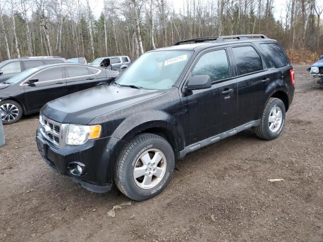 FORD ESCAPE XLT 2010 with VIN 1FMCU9DG7AKB86280 - Photo from auction