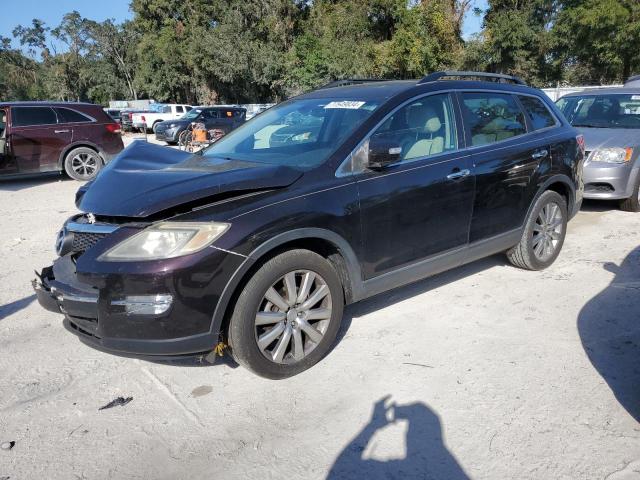 MAZDA CX-9 2009 with VIN JM3TB28A490180345 - Photo from auction