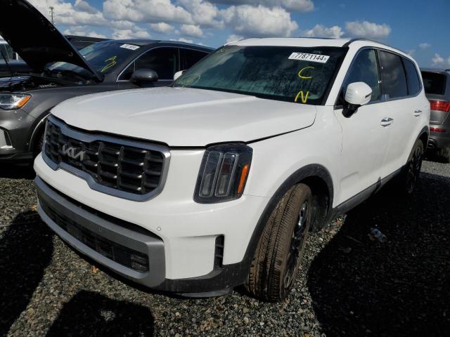 KIA TELLURIDE 2023 with VIN 5XYP5DGC7PG347983 - Photo from auction