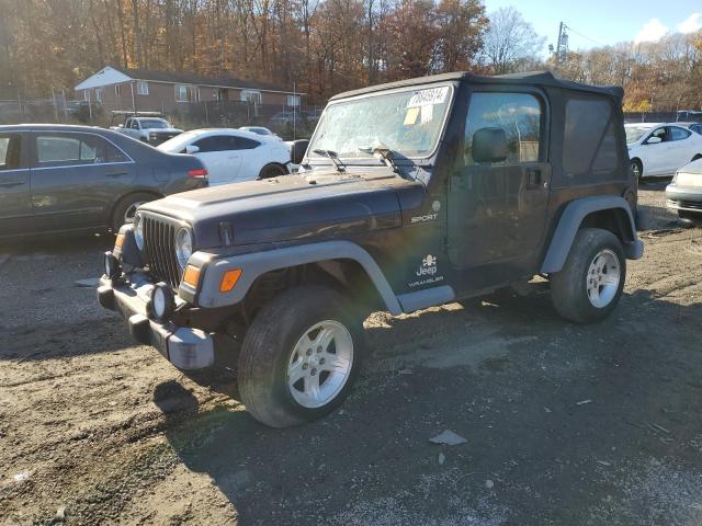 JEEP WRANGLER / 2004 with VIN 1J4FA49S64P767460 - Photo from auction