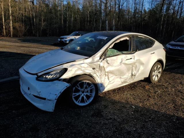 TESLA MODEL Y 2021 with VIN 5YJYGDEE9MF125354 - Photo from auction
