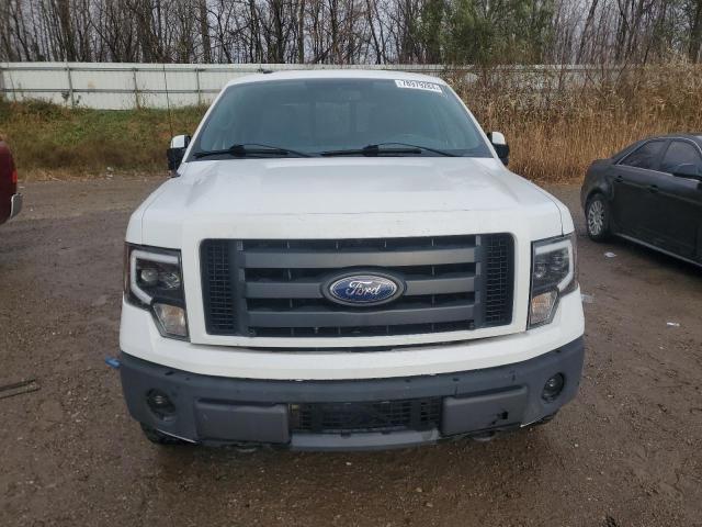 Photo 5 from auction – 2010 FORD F150 SUPER with VIN 1FTFW1EV8AFD96356