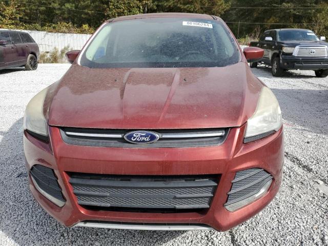 Photo 5 from auction – 2014 FORD ESCAPE SE with VIN 1FMCU0GX8EUD98672