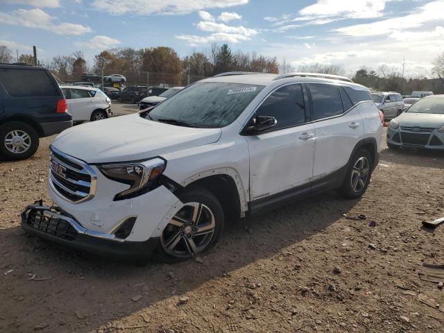 GMC TERRAIN SL 2019 with VIN 3GKALVEV0KL229611 - Photo from auction
