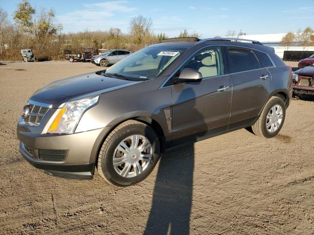 CADILLAC SRX LUXURY 2012 with VIN 3GYFNAE33CS587113 - Photo from auction