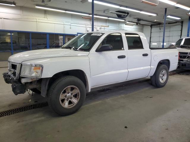 DODGE DAKOTA ST 2010 with VIN 1D7CW2GK6AS125806 - Photo from auction
