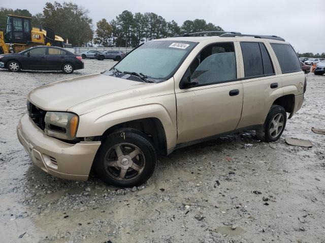 CHEVROLET TRAILBLAZE 2006 with VIN 1GNDS13S162116942 - Photo from auction