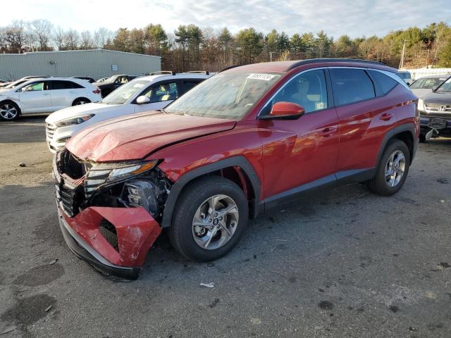 HYUNDAI TUCSON SEL 2024 with VIN 5NMJBCDE2RH419079 - Photo from auction