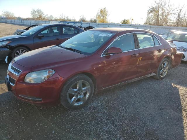 CHEVROLET MALIBU 1LT 2009 with VIN 1G1ZH57B59F174444 - Photo from auction