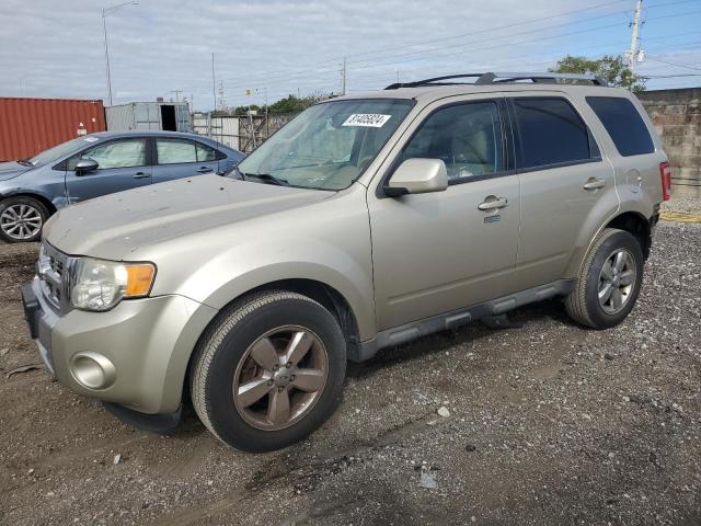 FORD ESCAPE LIM 2010 with VIN 1FMCU0EG2AKA44333 - Photo from auction
