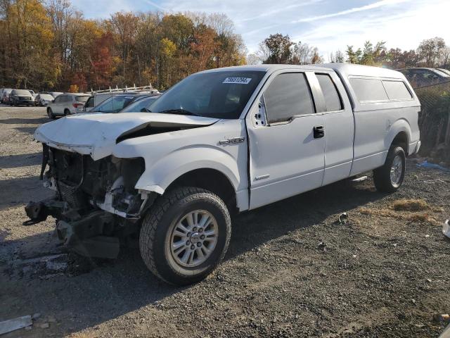 FORD F150 SUPER 2011 with VIN 1FTVX1ET8BKE14239 - Photo from auction