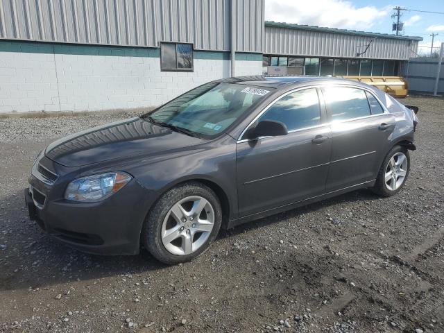 CHEVROLET MALIBU LS 2012 with VIN 1G1ZB5E09CF256042 - Photo from auction