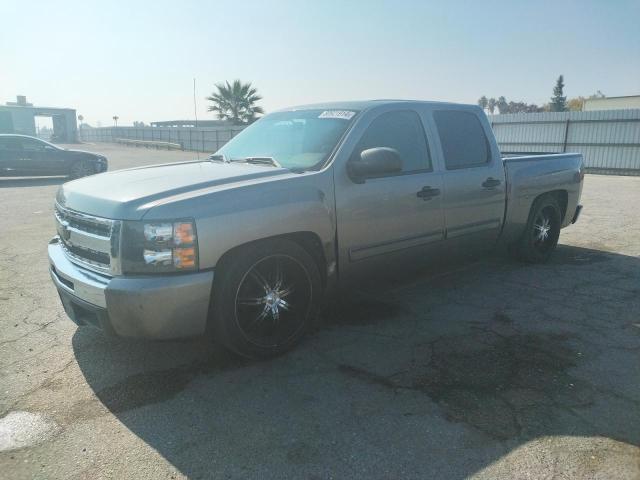 CHEVROLET SILVERADO 2009 with VIN 3GCEC23C09G225476 - Photo from auction