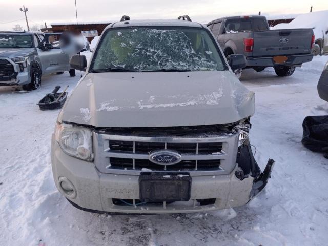 Photo 5 from auction – 2009 FORD ESCAPE XLT with VIN 1FMCU93GX9KC30253