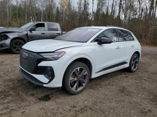 AUDI Q4 E-TRON 2023 with VIN WA1M2AFZ4PP025230 - Photo from auction