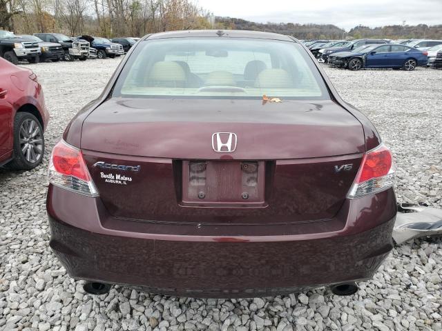 Photo 6 from auction – 2010 HONDA ACCORD EXL with VIN 5KBCP3F86AB018319