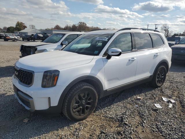 KIA TELLURIDE 2023 with VIN 5XYP5DGC9PG352361 - Photo from auction