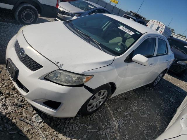 TOYOTA COROLLA BA 2009 with VIN 1NXBU40E59Z123665 - Photo from auction