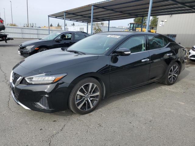 NISSAN MAXIMA SV 2023 with VIN 1N4AA6CV4PC508997 - Photo from auction