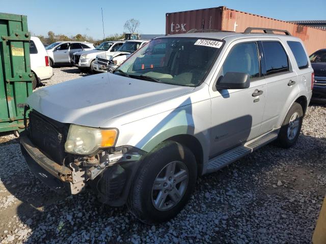 FORD ESCAPE HYB 2010 with VIN 1FMCU4K31AKB54623 - Photo from auction