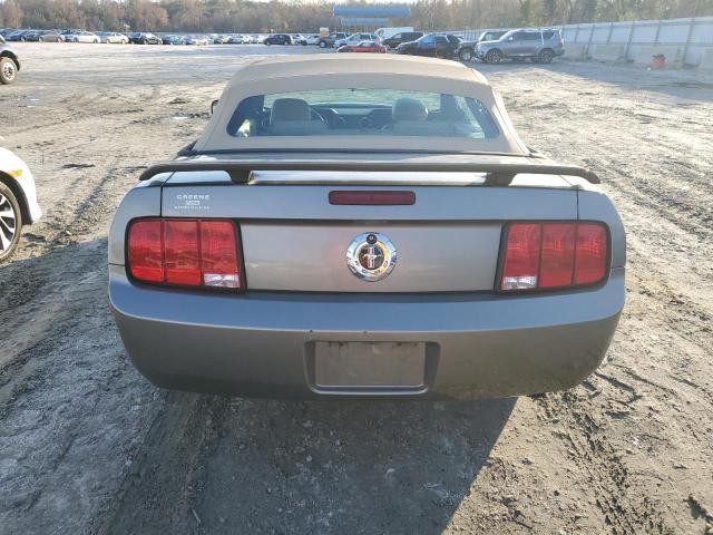 Photo 6 from auction – 2005 FORD MUSTANG with VIN 1ZVFT84N755203528