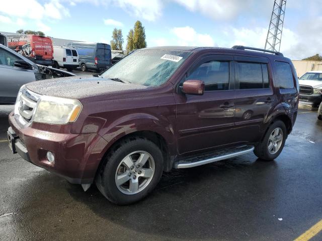 HONDA PILOT EX 2010 with VIN 5FNYF3H43AB001558 - Photo from auction