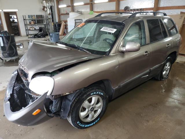 Photo 1 from auction – 2005 HYUNDAI SANTA FE G with VIN KM8SC73D45U972784