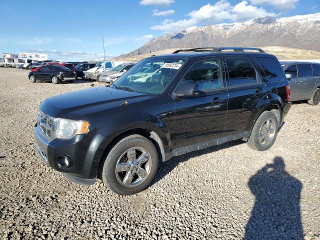 FORD ESCAPE LIM 2011 with VIN 1FMCU9EG6BKB52587 - Photo from auction