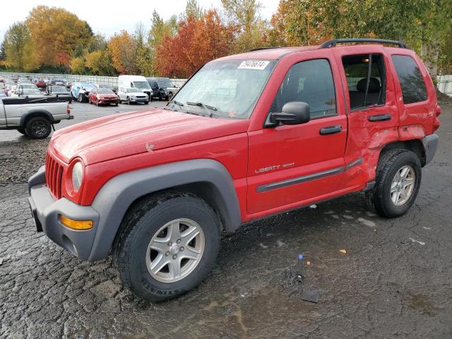 JEEP LIBERTY SP 2003 with VIN 1J4GL48K83W694323 - Photo from auction