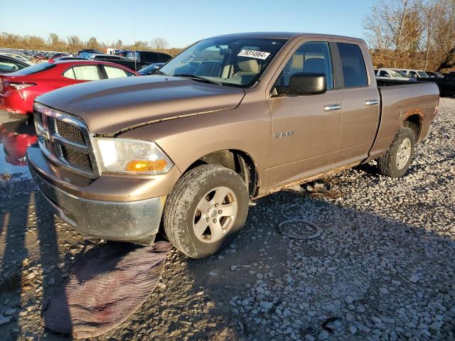 DODGE RAM 1500 2010 with VIN 1D7RV1GP3AS105497 - Photo from auction