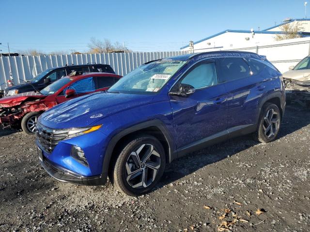HYUNDAI TUCSON LIM 2023 with VIN 5NMJECAE0PH187929 - Photo from auction