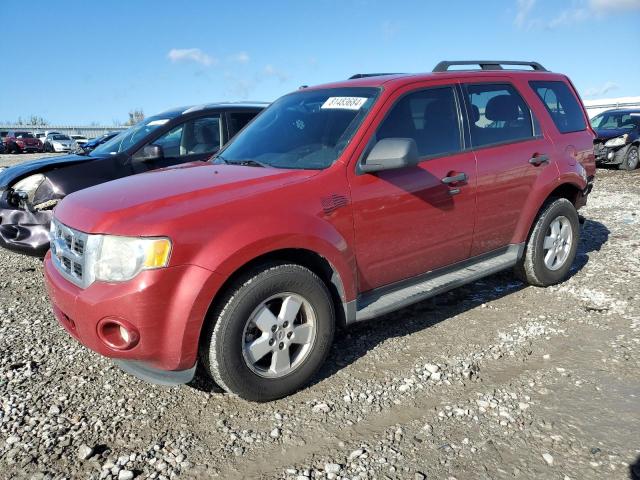 FORD ESCAPE XLT 2011 with VIN 1FMCU0DG1BKB78365 - Photo from auction