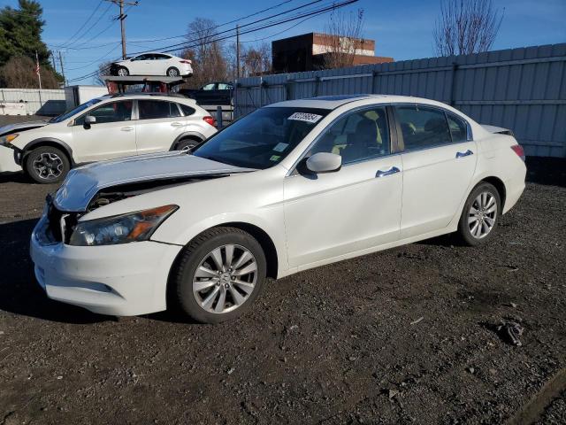 HONDA ACCORD EXL 2011 with VIN 1HGCP3F81BA024782 - Photo from auction