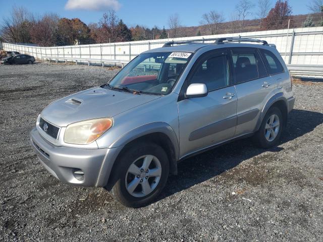 TOYOTA RAV4 2005 with VIN JTEHD20V256043821 - Photo from auction