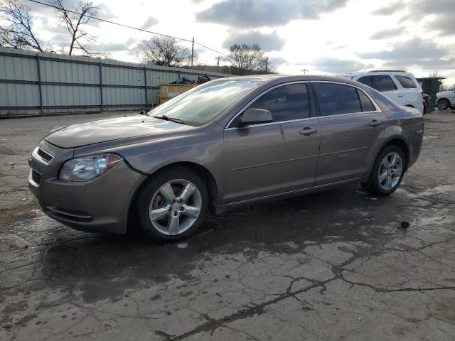 CHEVROLET MALIBU 2LT 2010 with VIN 1G1ZD5EB0AF221530 - Photo from auction