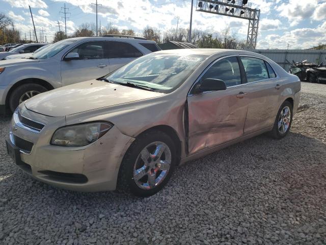 CHEVROLET MALIBU LS 2011 with VIN 1G1ZB5E11BF217811 - Photo from auction
