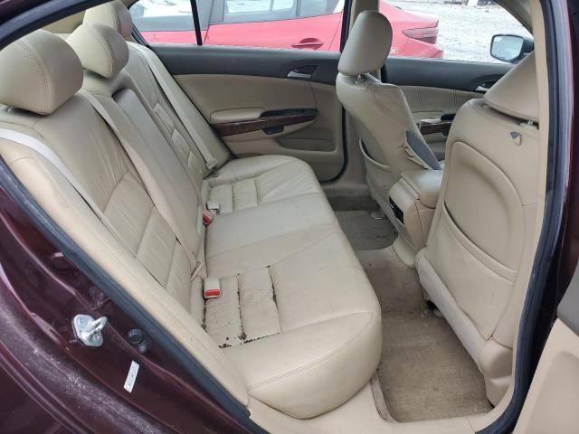 Photo 10 from auction – 2010 HONDA ACCORD EXL with VIN 5KBCP3F86AB018319