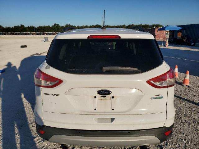 Photo 6 from auction – 2014 FORD ESCAPE SE with VIN 1FMCU0GX9EUD95246