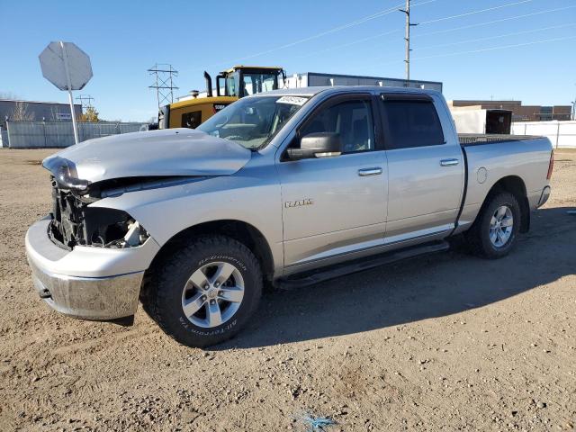 DODGE RAM 1500 2009 with VIN 1D3HV13P99S818130 - Photo from auction
