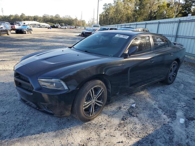 DODGE CHARGER R/ 2013 with VIN 2C3CDXDT9DH651440 - Photo from auction